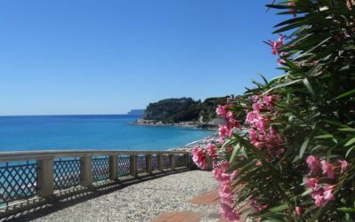 Data da def. – DA VARAZZE A CELLE LIGURE E BEACH DAY (SV)
